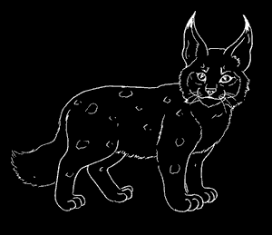 the LYRA Lynx